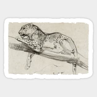 Leopard laying on a branch Sticker